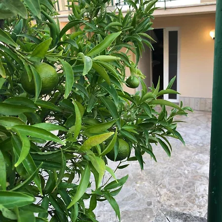 Tatil Evi Panoramica Valderice