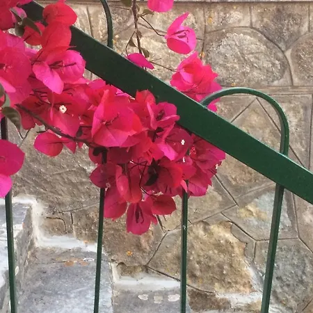 Tatil Evi Panoramica *